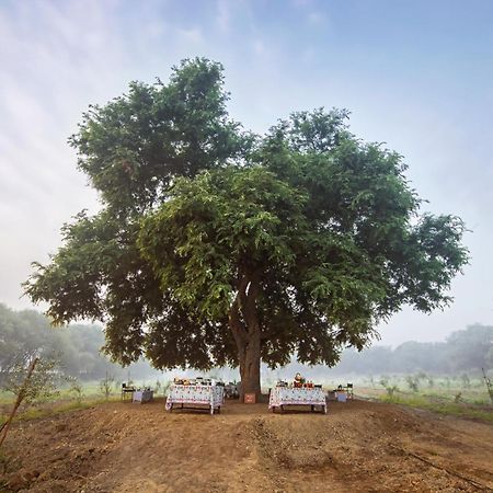 Mela Kothi - The Chambal Safari Lodge Bāh Kültér fotó
