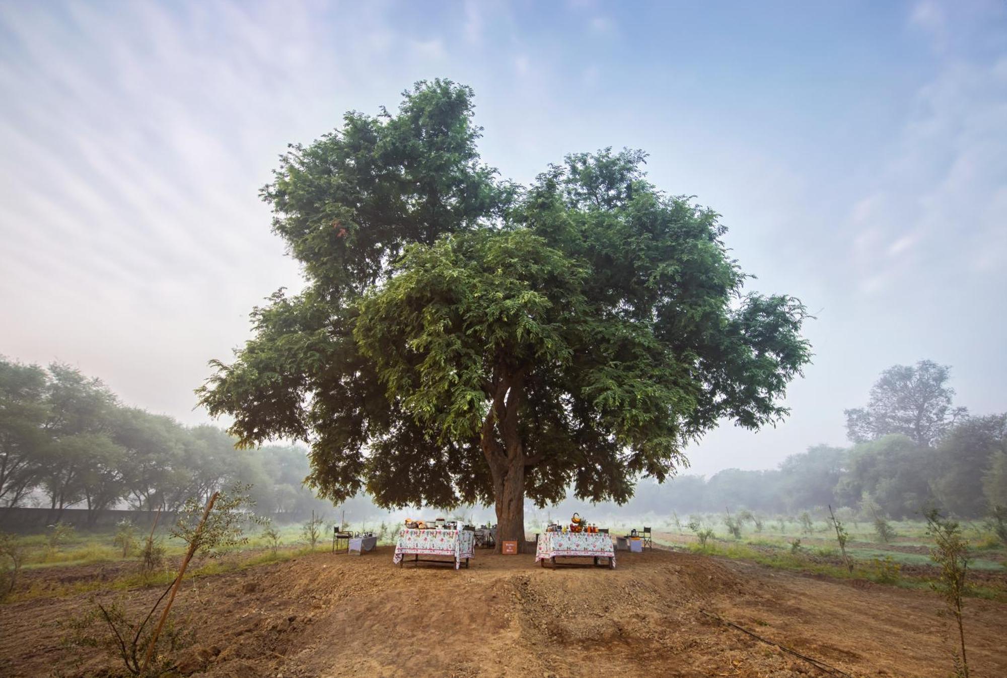 Mela Kothi - The Chambal Safari Lodge Bāh Kültér fotó