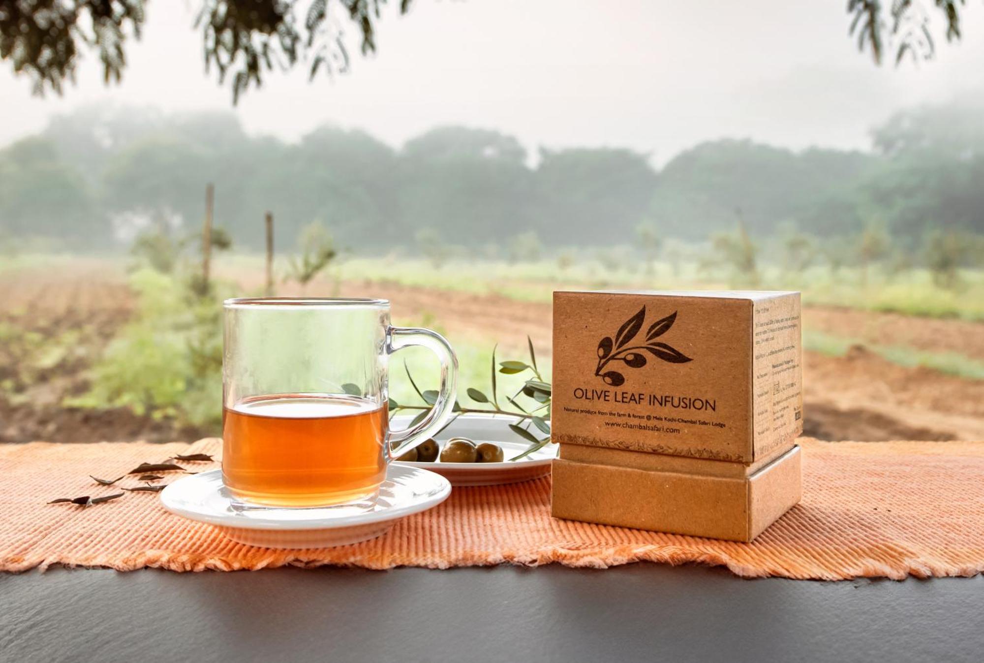 Mela Kothi - The Chambal Safari Lodge Bāh Kültér fotó